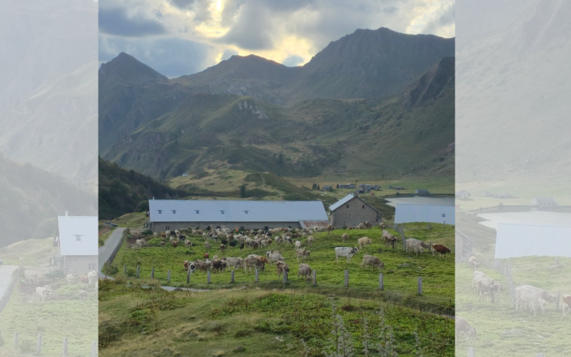 Altanca–Piora Road Closure